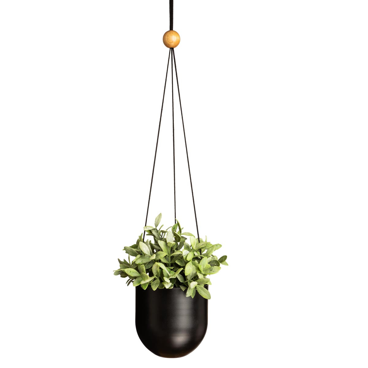 Duo-amppeliruukku, musta, 14 cm